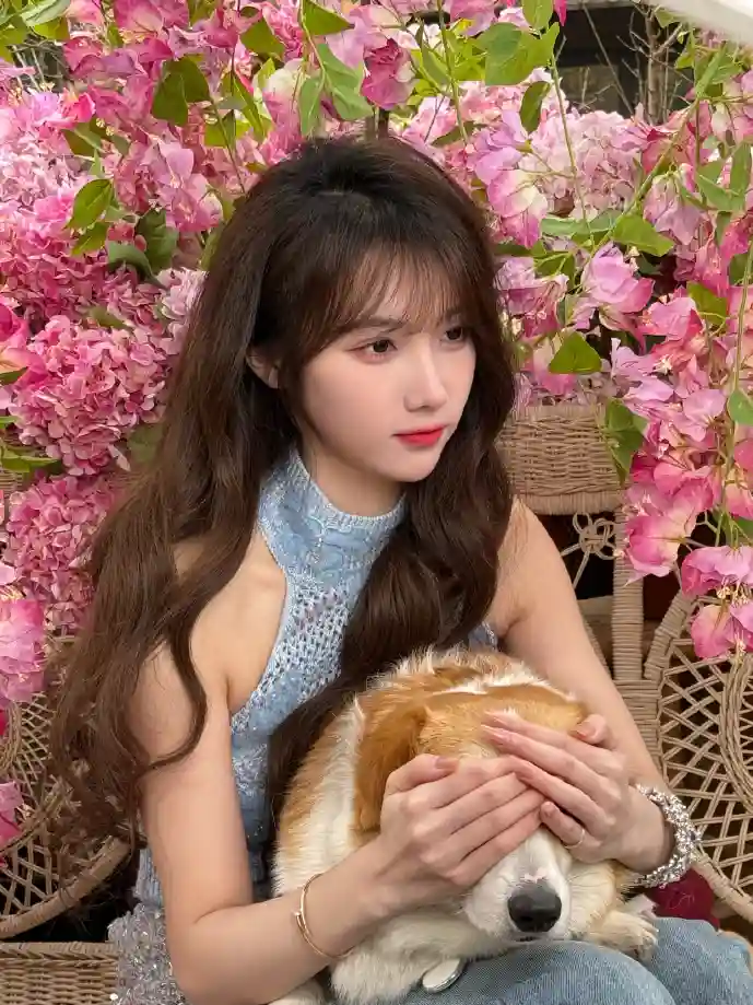 免费下载秀来电使用场景